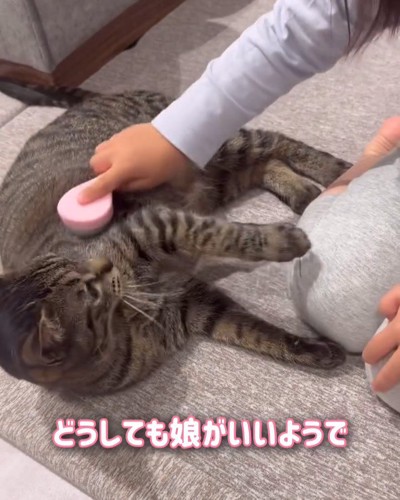 子供の顔を見る猫