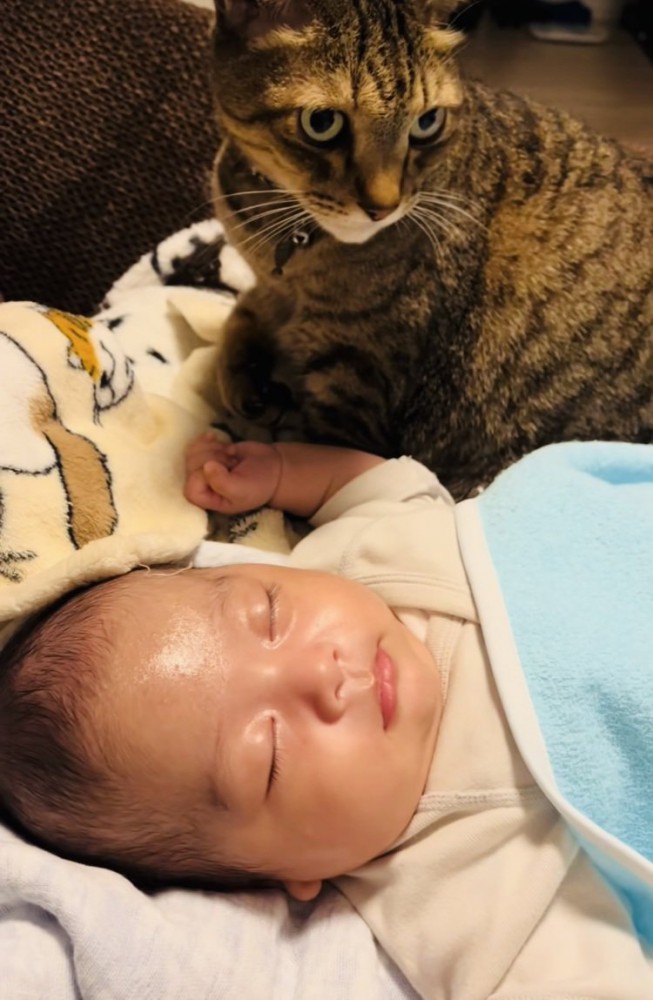 眠る赤ちゃんの横でくつろぐキジトラ猫