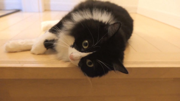 なにかを考えているチコちゃん