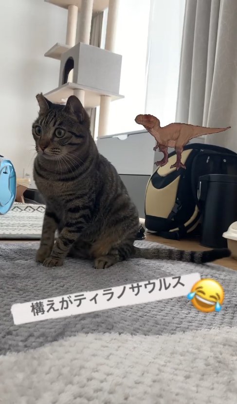 瞳孔を開いて画面左奥を見つめるお座りをした猫