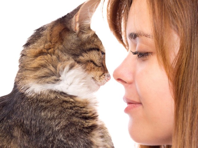 猫と鼻を付ける女性