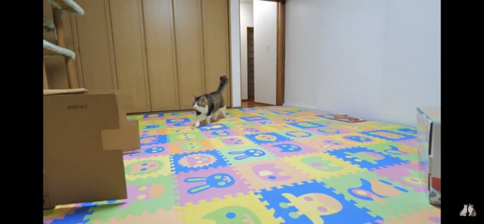 部屋に来る