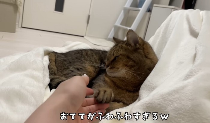 ふわふわの手をいじられるみにらくん