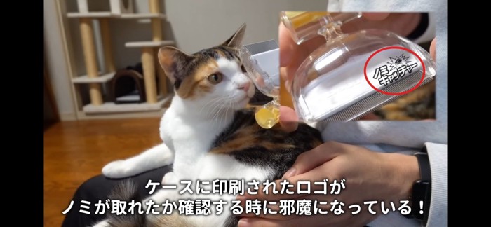 ノミ取りコーム