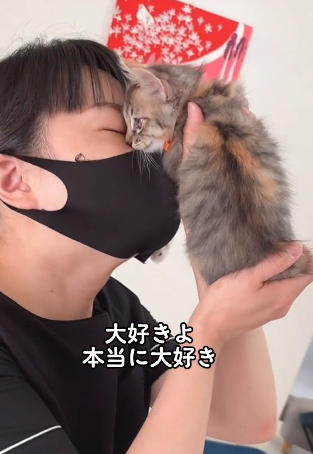 抱っこされる猫ちゃん