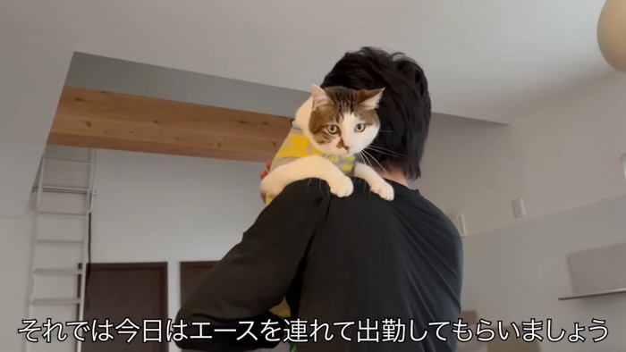 抱っこされる猫