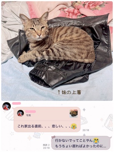 上着に乗る猫の写真とメッセージ