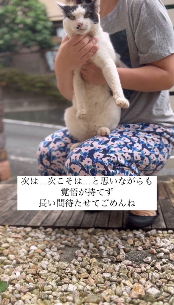 女性に抱きかかえられる猫