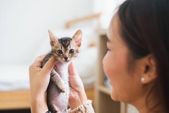 子猫を抱っこする女性