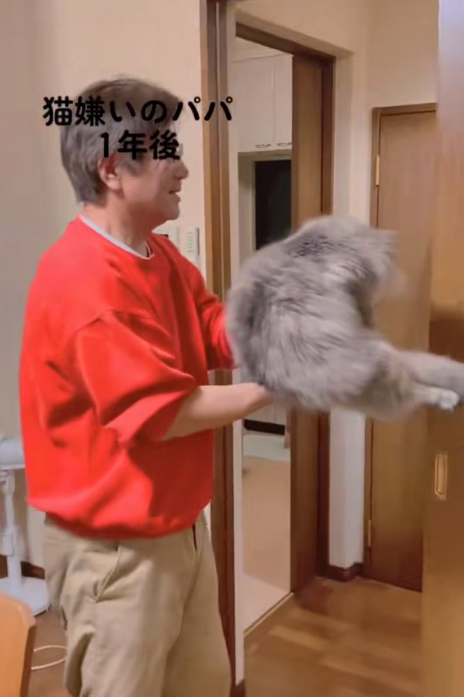 猫を抱き上げる