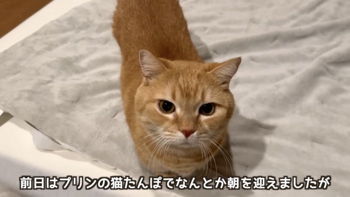 「前日は...」のテロップ写真