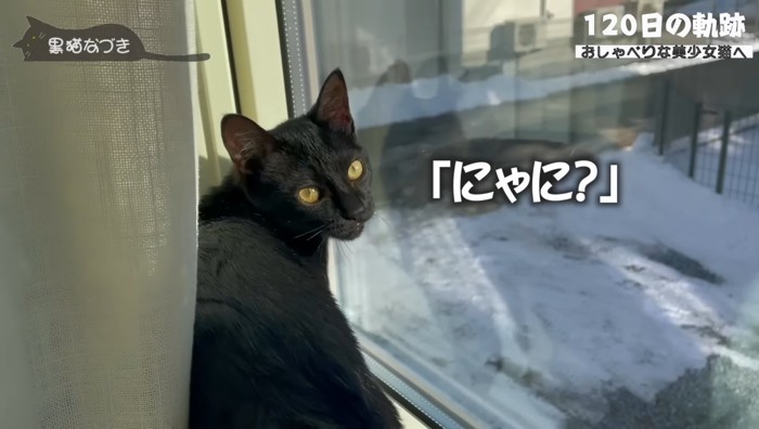 にゃに？