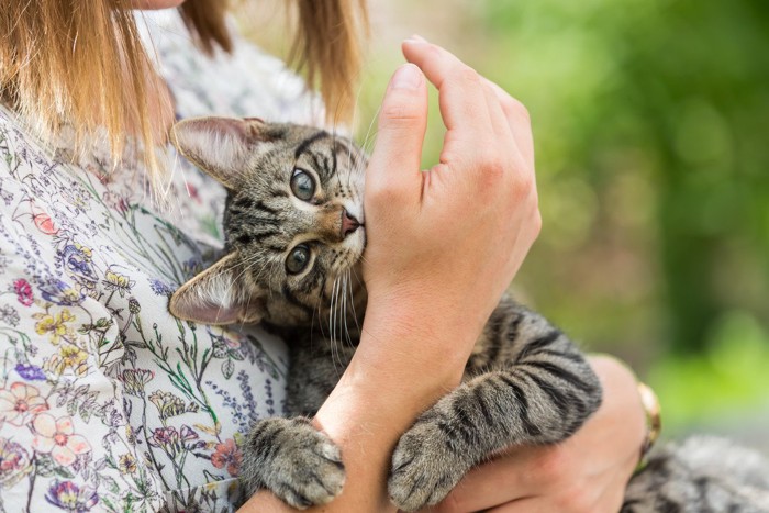 女性の腕を甘噛みする猫