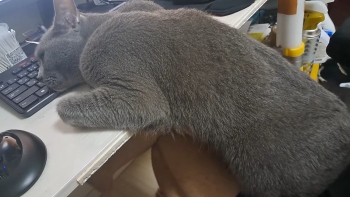 横から見て