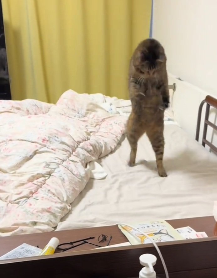 立つあめちゃん
