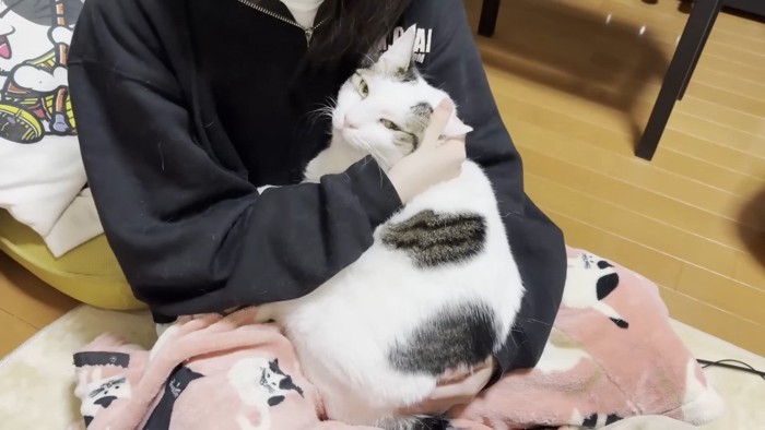 抱っこ(こちらを見る)