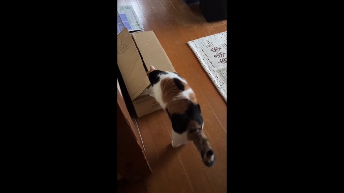 顔で蓋を押し開けて