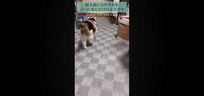 後ろ姿
