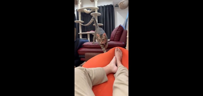 ソファから移動