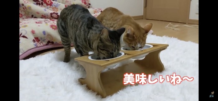 とりあえず食べる