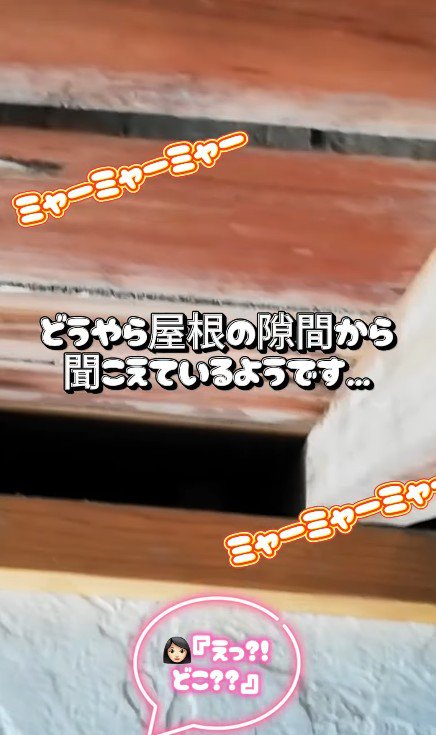 屋根裏