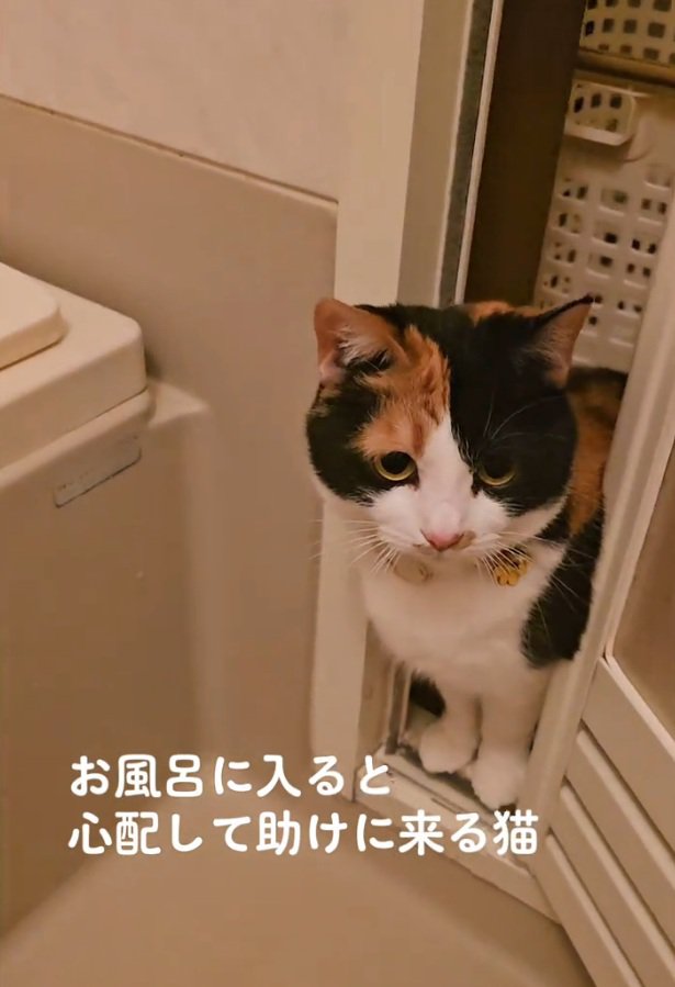 お風呂場に来たマオマオちゃん