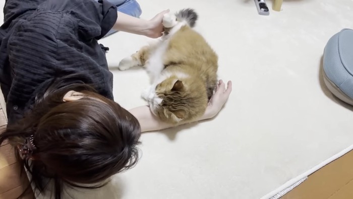 足を触って