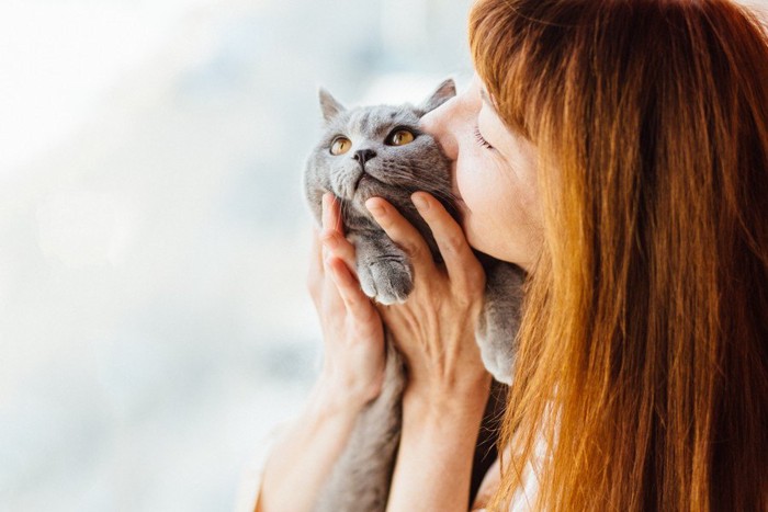 女性にキスされる猫