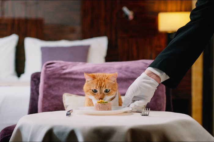 レストランで食事する猫