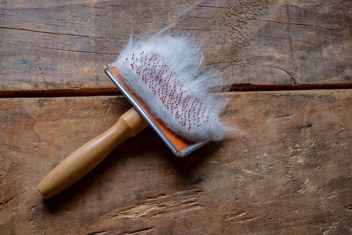 猫の抜け毛を取ったブラシ