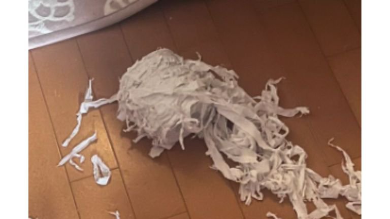 床に転がるトイレットペーパー