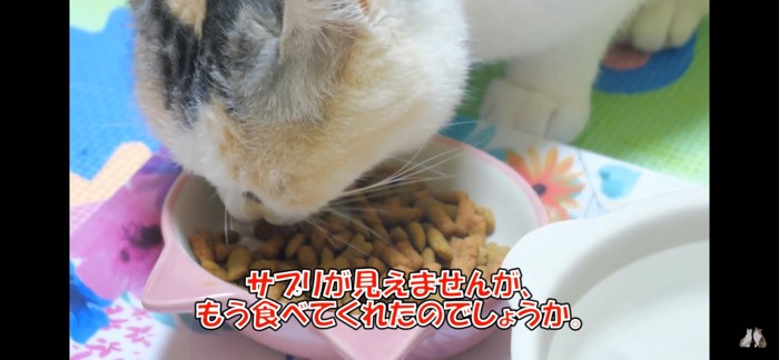 やっと食べ始める