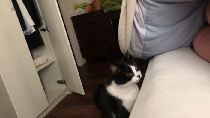ベッドの前に
