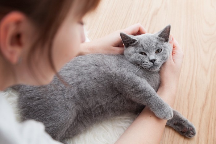 女性の手にしがみつく猫