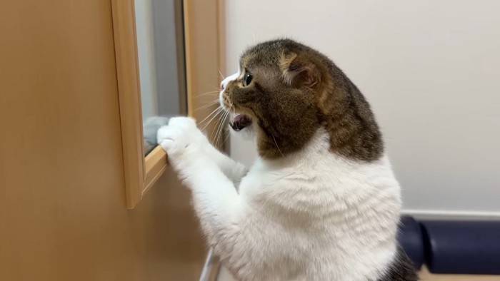 横から