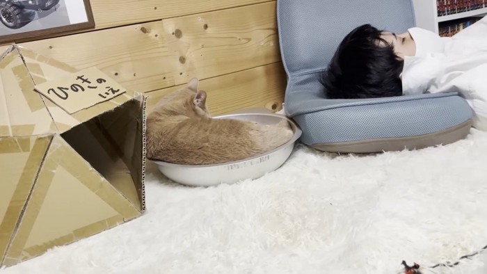 猫鍋の中