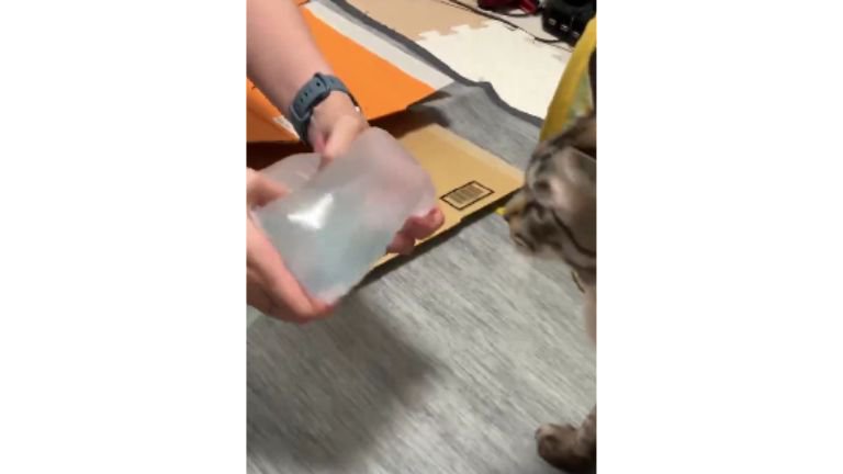 猫とエア梱包材