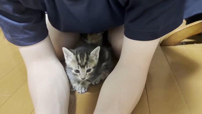 体の下に