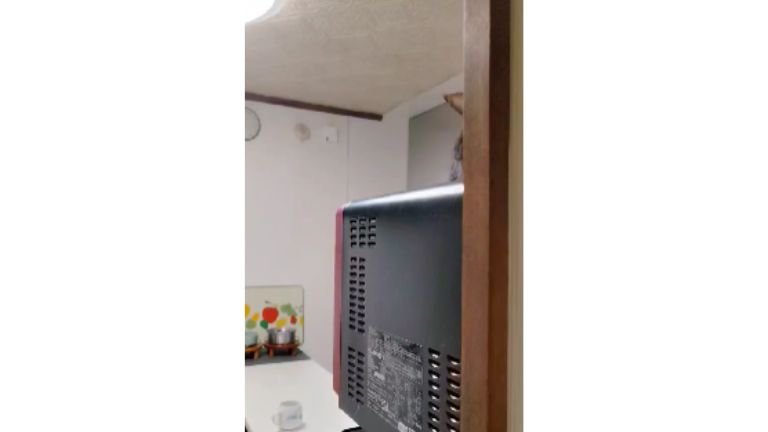 電子レンジの上の猫