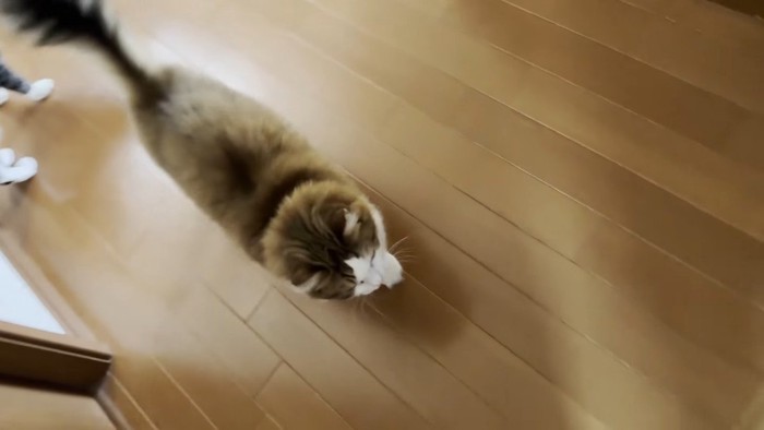 上から