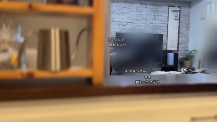 ママさんのあとを追うシロちゃん