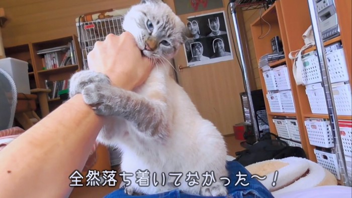 飼い主さんの手をガブリ！