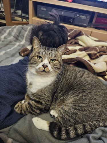 赤ちゃんの後ろにいる猫