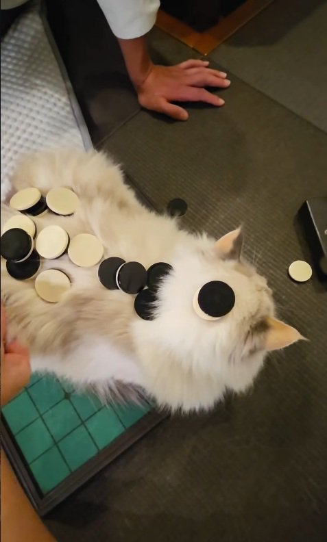 成長