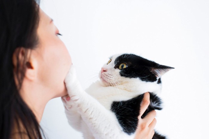 飼い主を拒否する猫