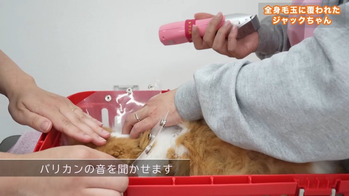 バリカンを持った人の手
