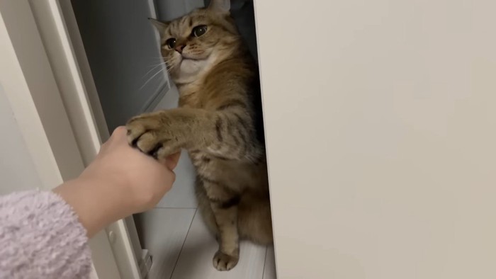 左前足でタッチ