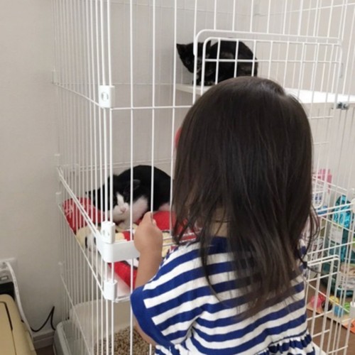 子どもと猫の写真