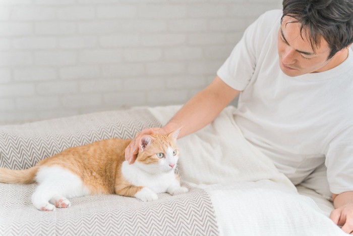 愛猫が添い寝をしてくれなくて寂しがる男性
