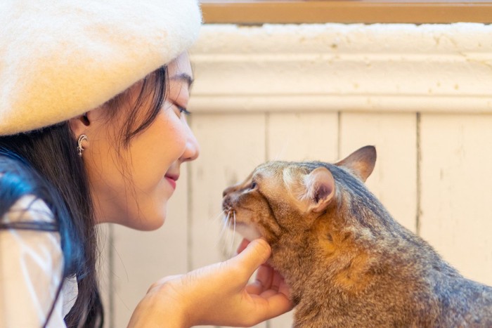 女性に話しかけられる猫